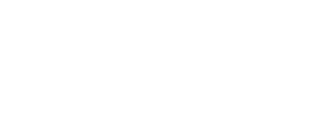 Equus Capital